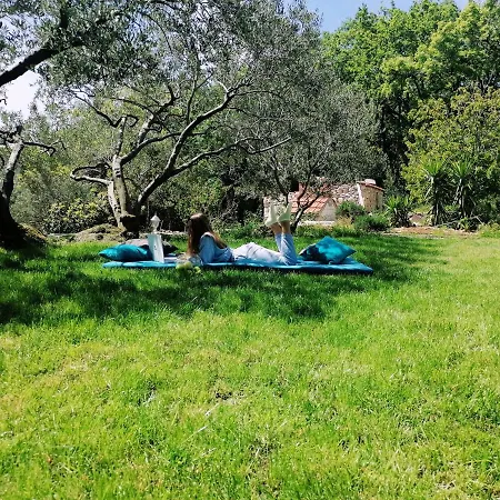 Oliva Apartamento Cavtat