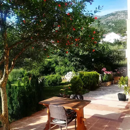Oliva Cavtat